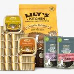 621-6214648_for-dogs-lilys-kitchen-chicken-and-duck-dog
